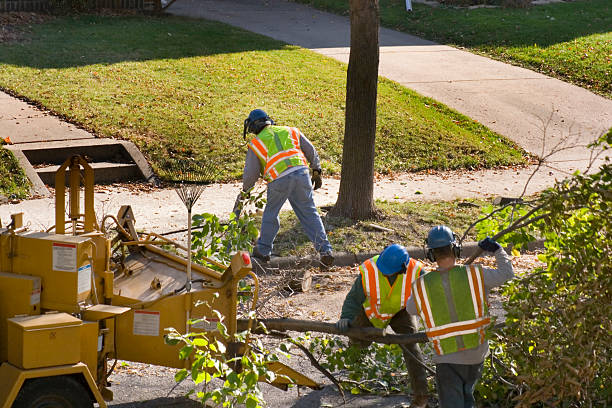  Mystic Island, NJ Tree Removal and Landscaping Services Pros